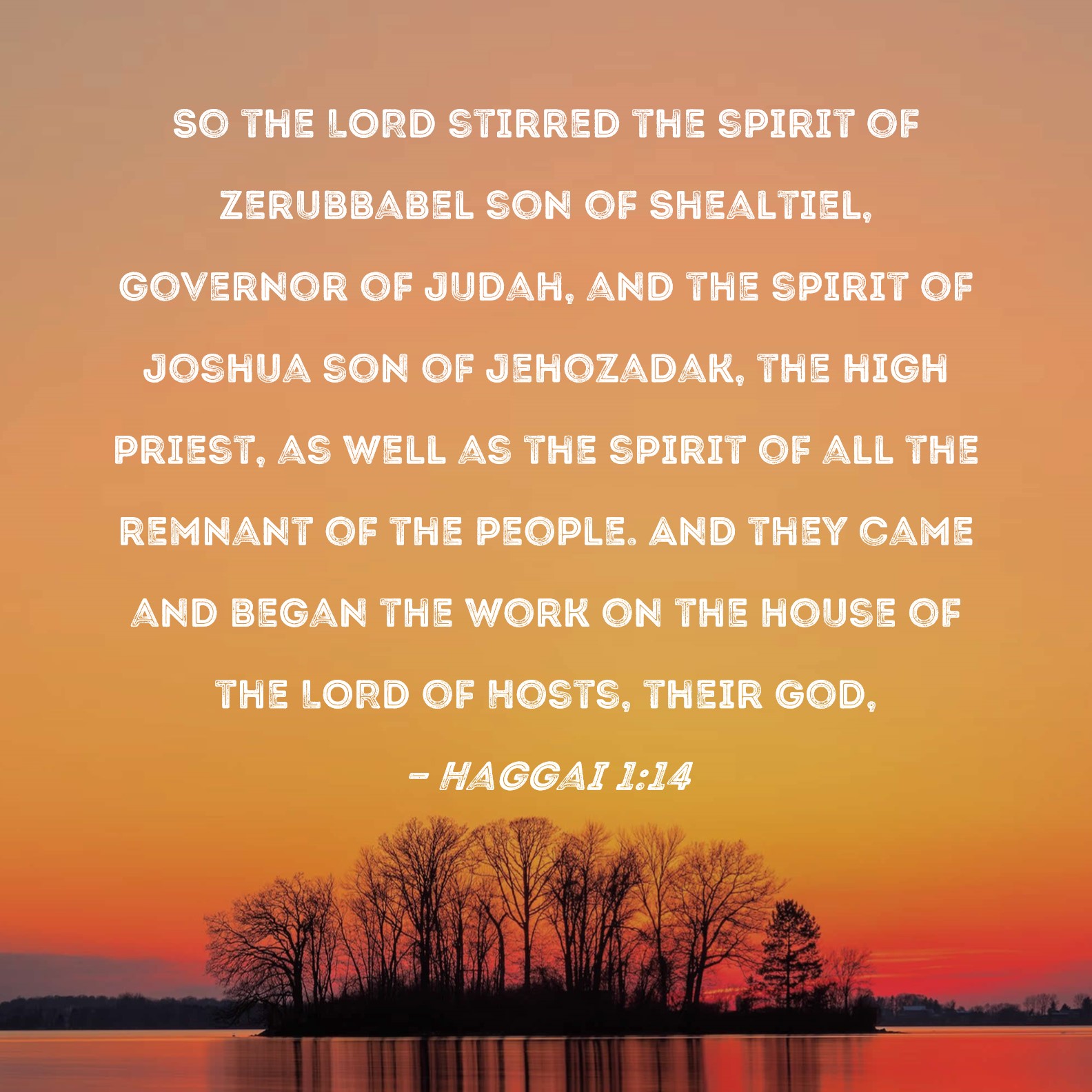 Haggai 1:14 So the LORD stirred the spirit of Zerubbabel son of