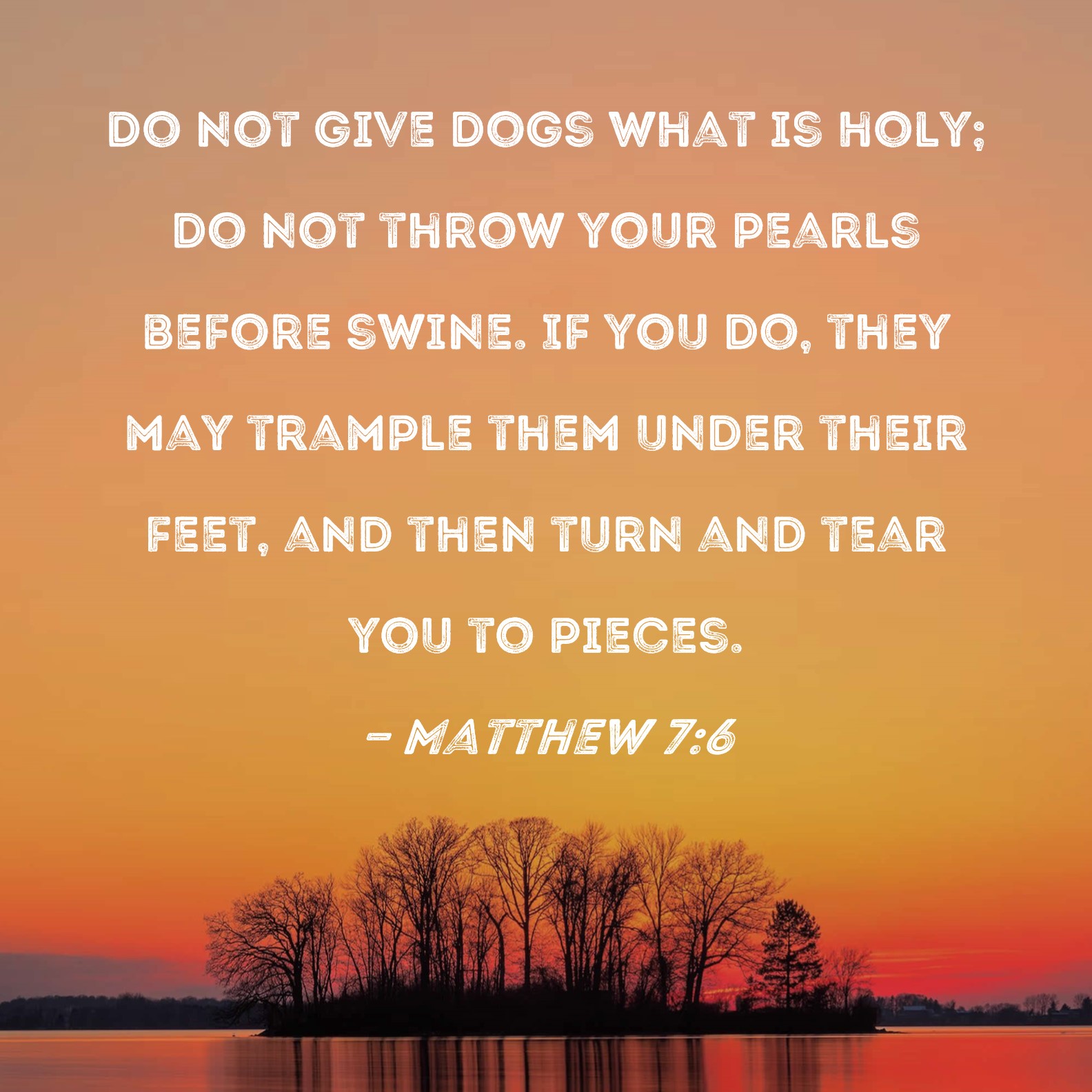 Matthew 76 Do not give dogs what is holy; do not throw your pearls