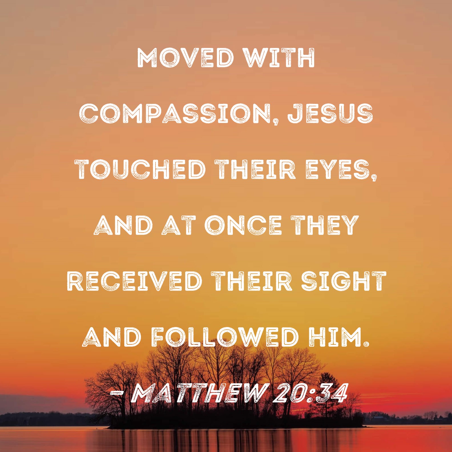 matthew-20-34-moved-with-compassion-jesus-touched-their-eyes-and-at