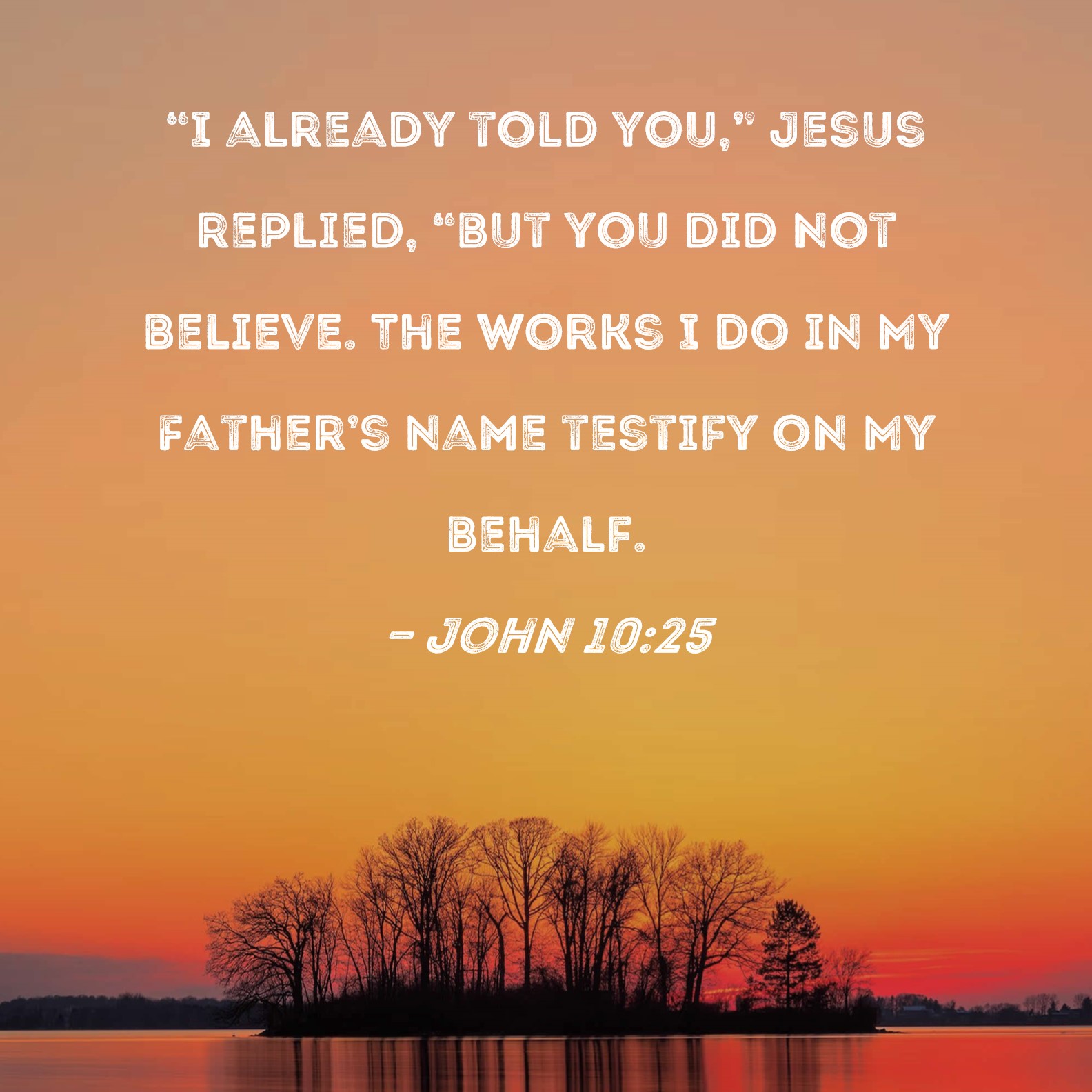 John 10:25 