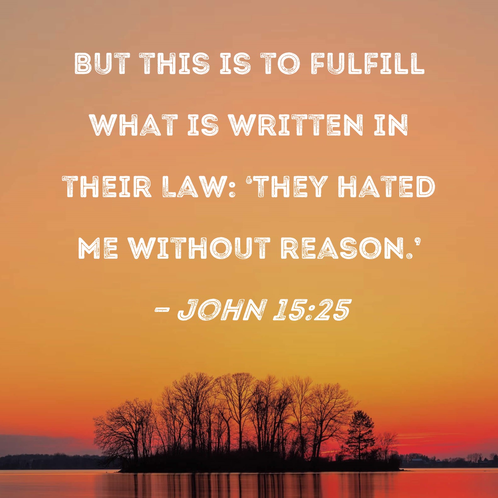 John 15 25 But This Is To Fulfill What Is Written In Their Law They 