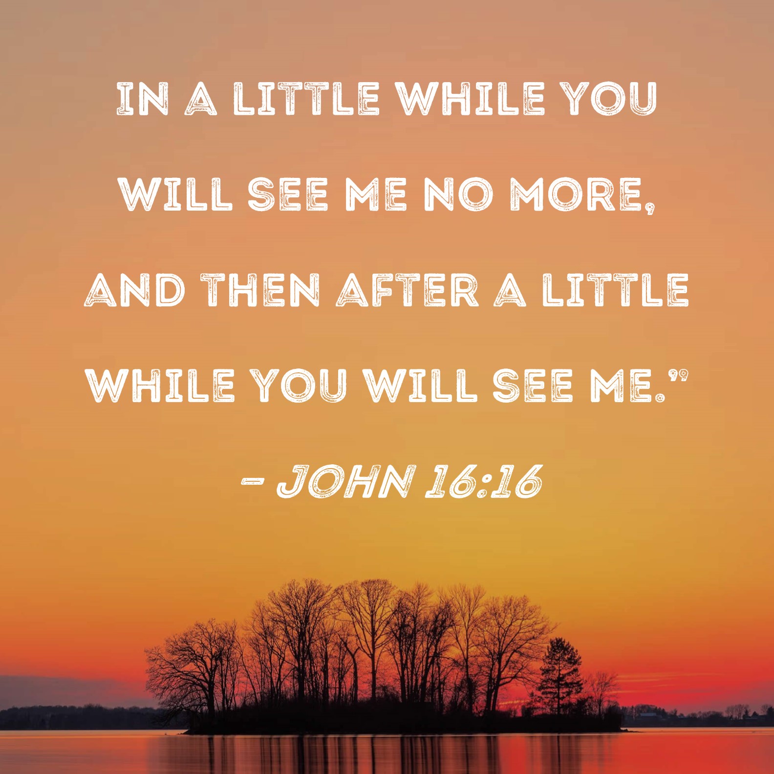 John 16 16 In A Little While You Will See Me No More And Then After A 