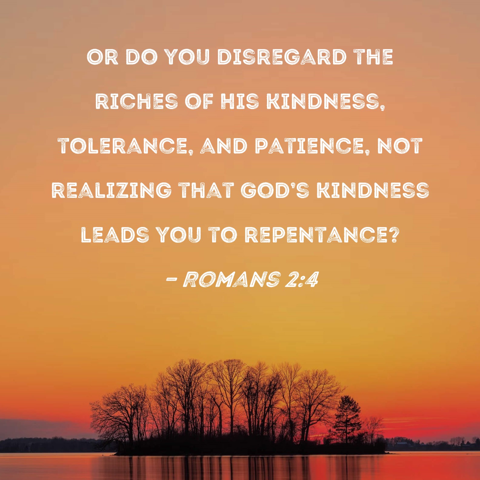 Romans 2 4 Or Do You Disregard The Riches Of His Kindness Tolerance 