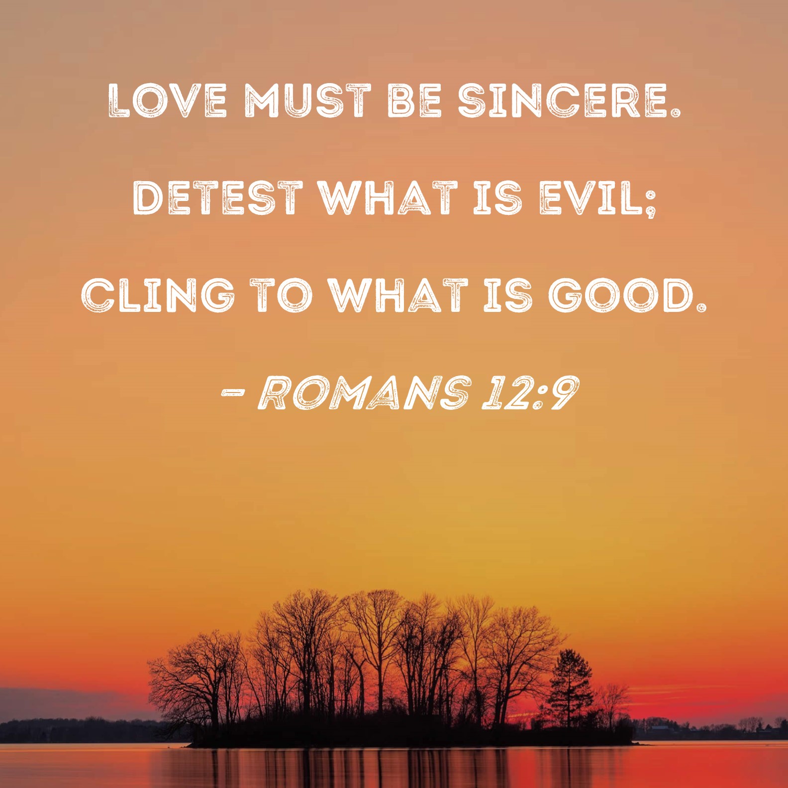 Romans 12 9 Love Must Be Sincere Detest What Is Evil Cling To What Is 