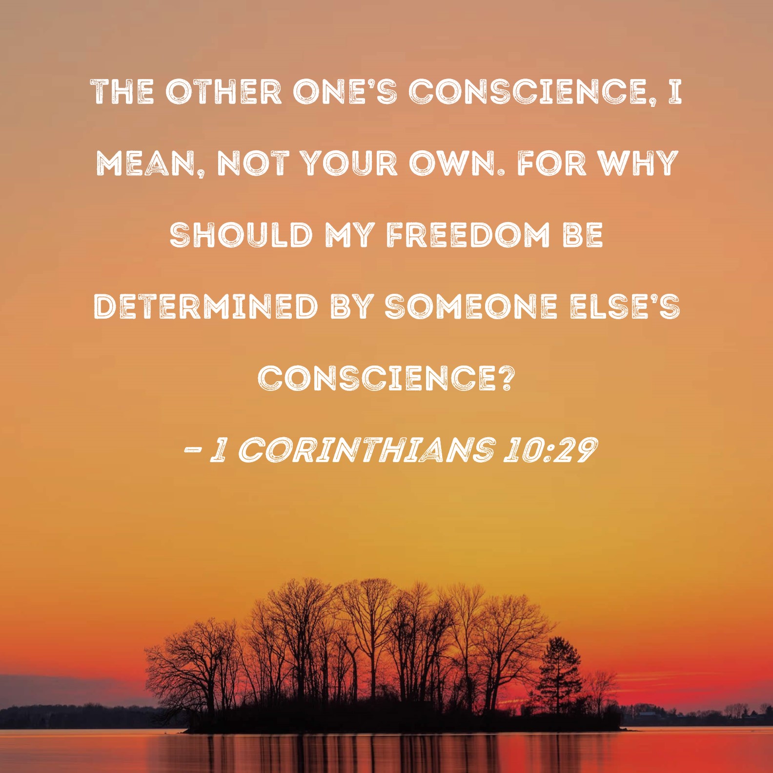 1 Corinthians 10 29 The Other One s Conscience I Mean Not Your Own 