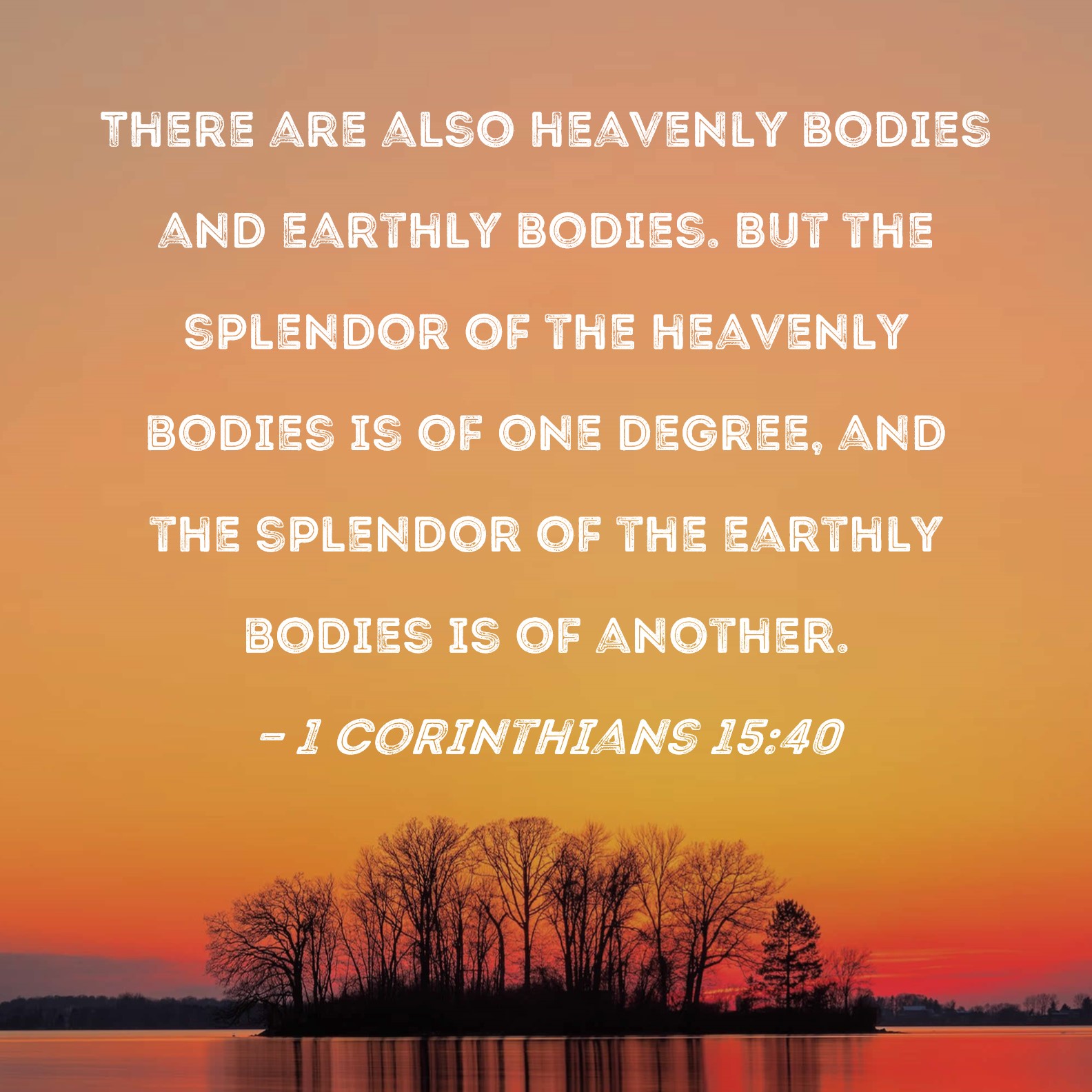 1 Corinthians 15 40 There Are Also Heavenly Bodies And Earthly Bodies 