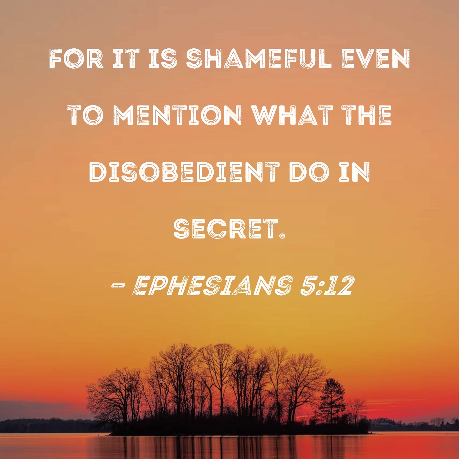 Ephesians 5 12 For It Is Shameful Even To Mention What The Disobedient 