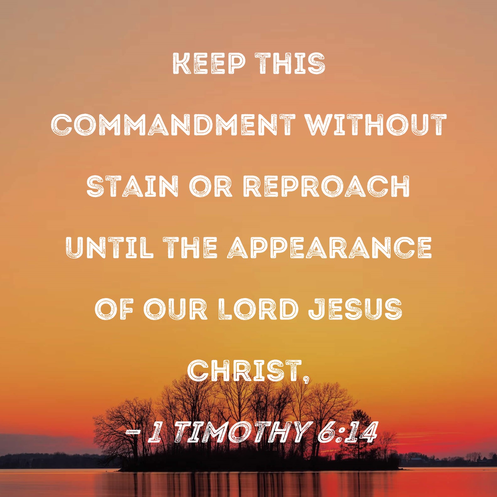 1 Timothy 6 14 Keep This Commandment Without Stain Or Reproach Until 