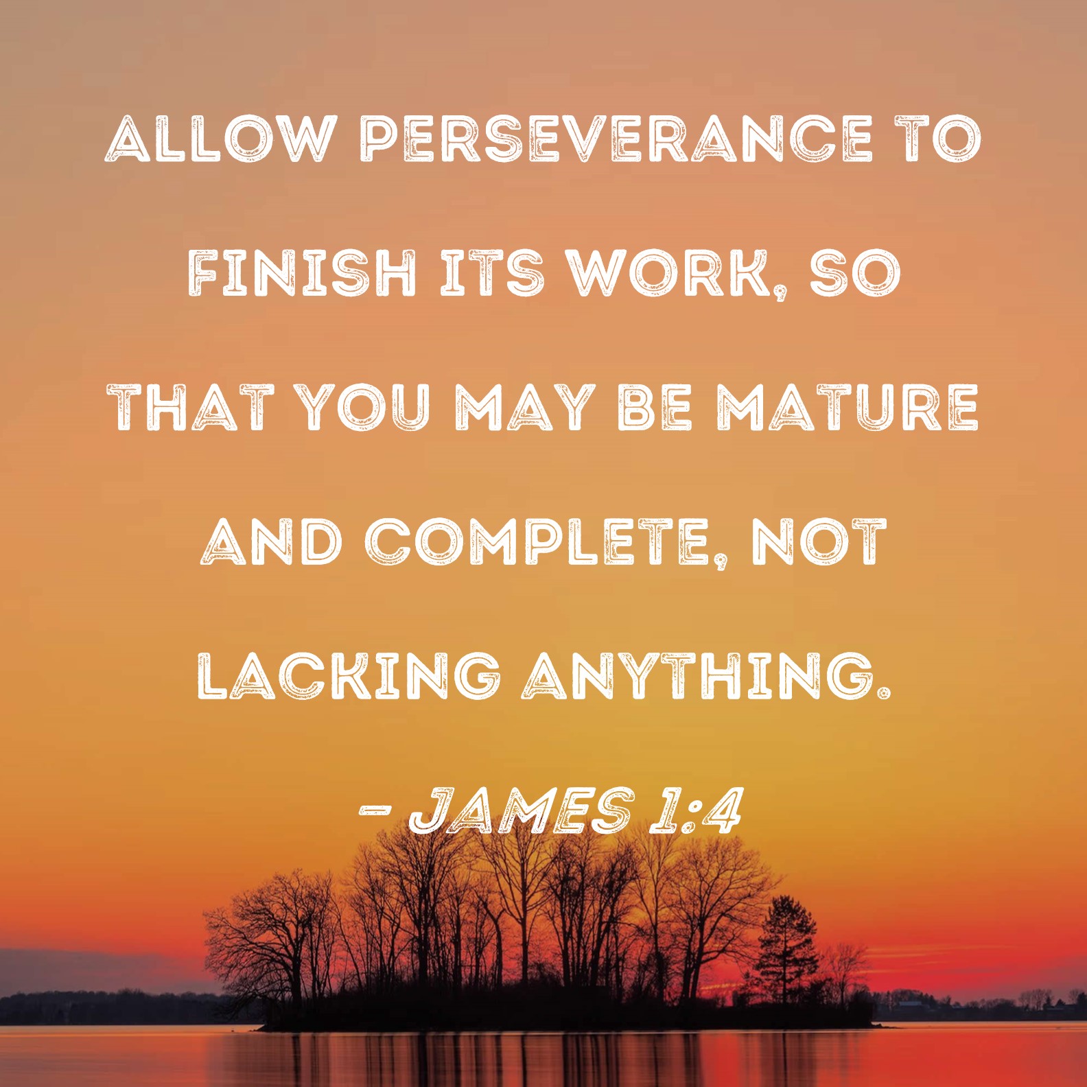 James 1 4 Allow Perseverance To Finish Its Work So That You May Be 