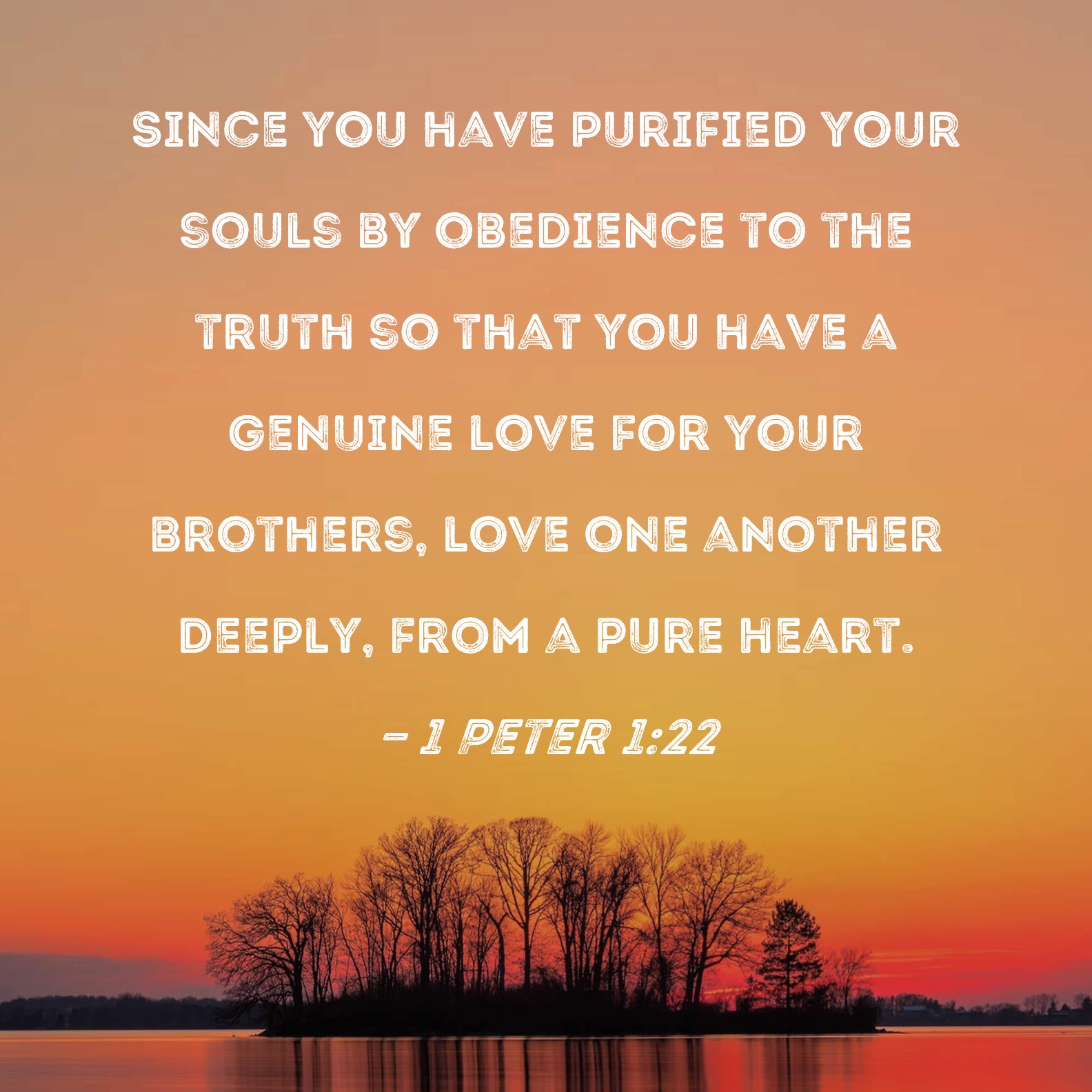 Pure love is the true sign of every true disciple of Jesus Christ