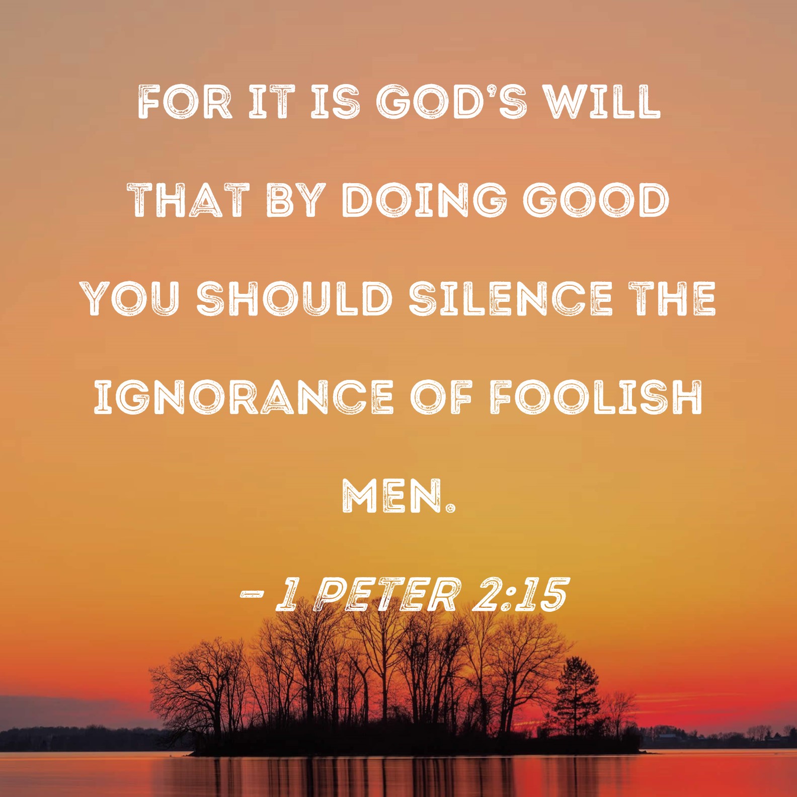 1 Peter 2 15 For It Is God s Will That By Doing Good You Should Silence 