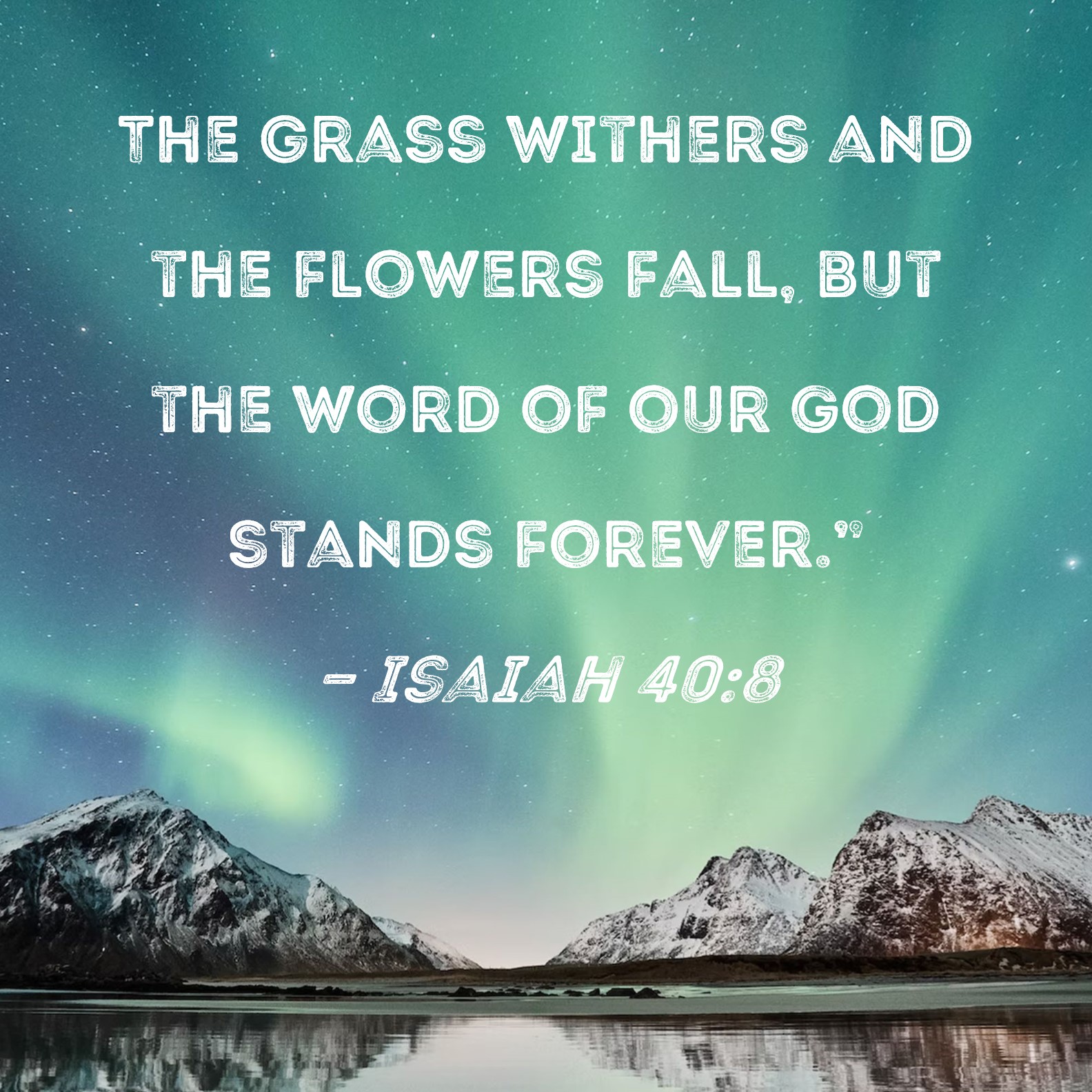 Isaiah 40 8 The Grass Withers And The Flowers Fall But The Word Of Our 