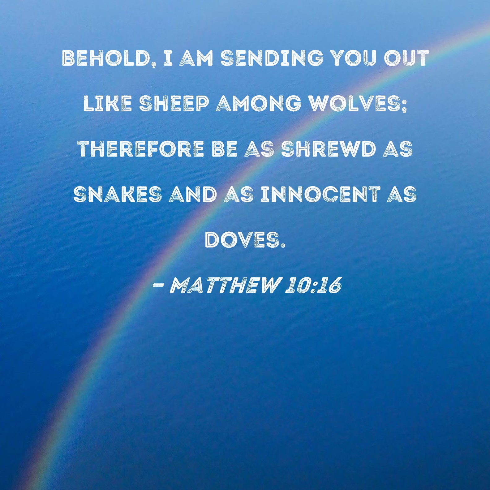 Matthew 1016 Behold I Am Sending You Out Like Sheep Among Wolves Therefore Be As Shrewd As 