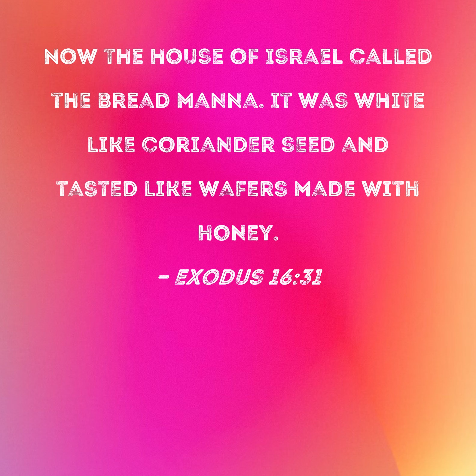 Exodus 1631 Now The House Of Israel Called The Bread Manna It Was