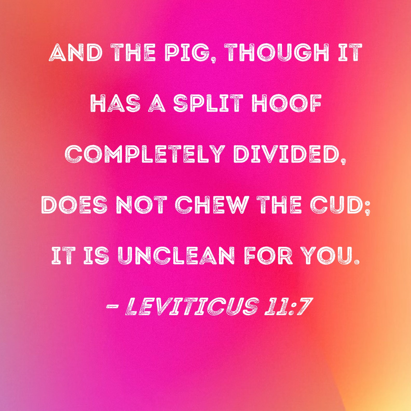 Leviticus 11 7 And The Pig Though It Has A Split Hoof Completely 