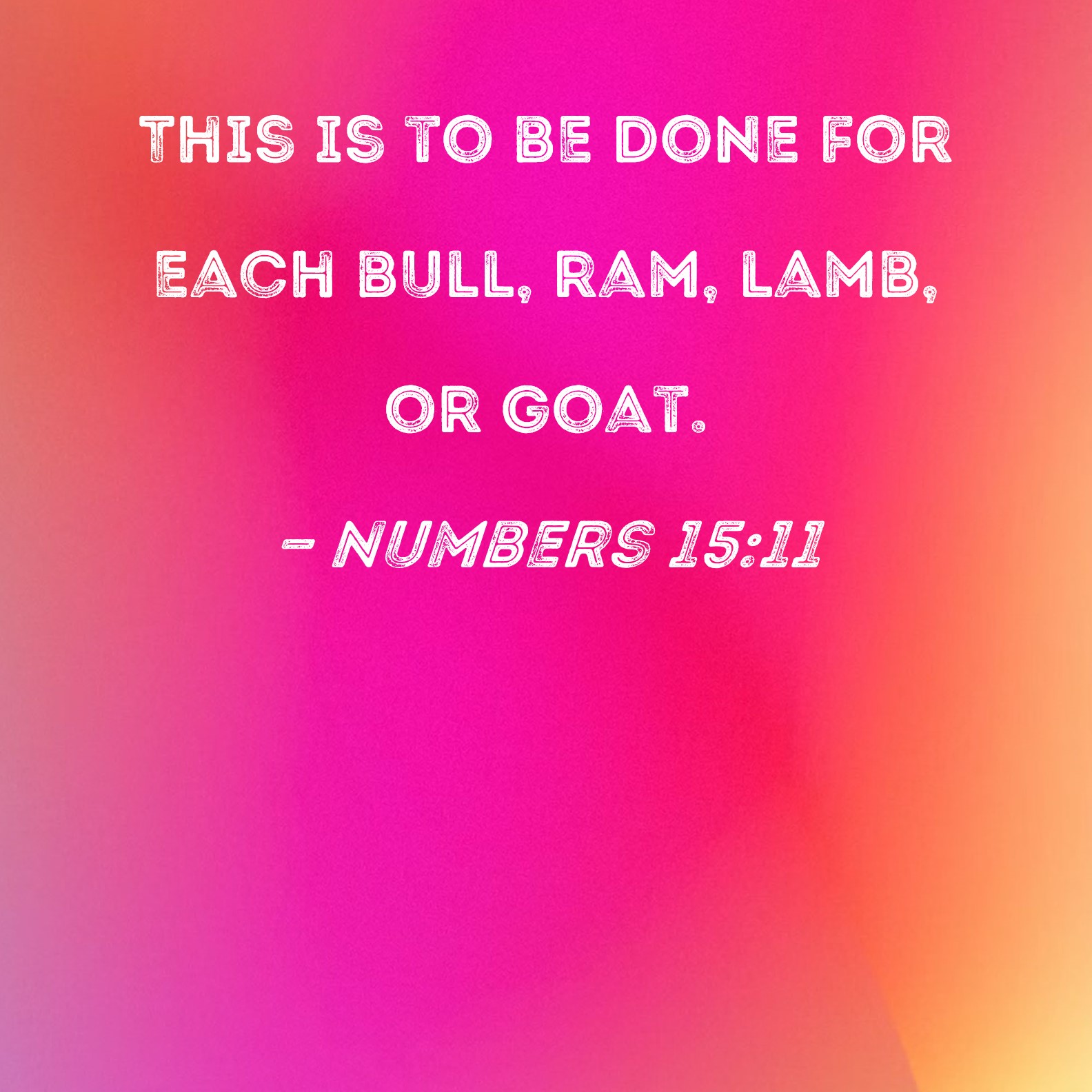 numbers-15-11-this-is-to-be-done-for-each-bull-ram-lamb-or-goat