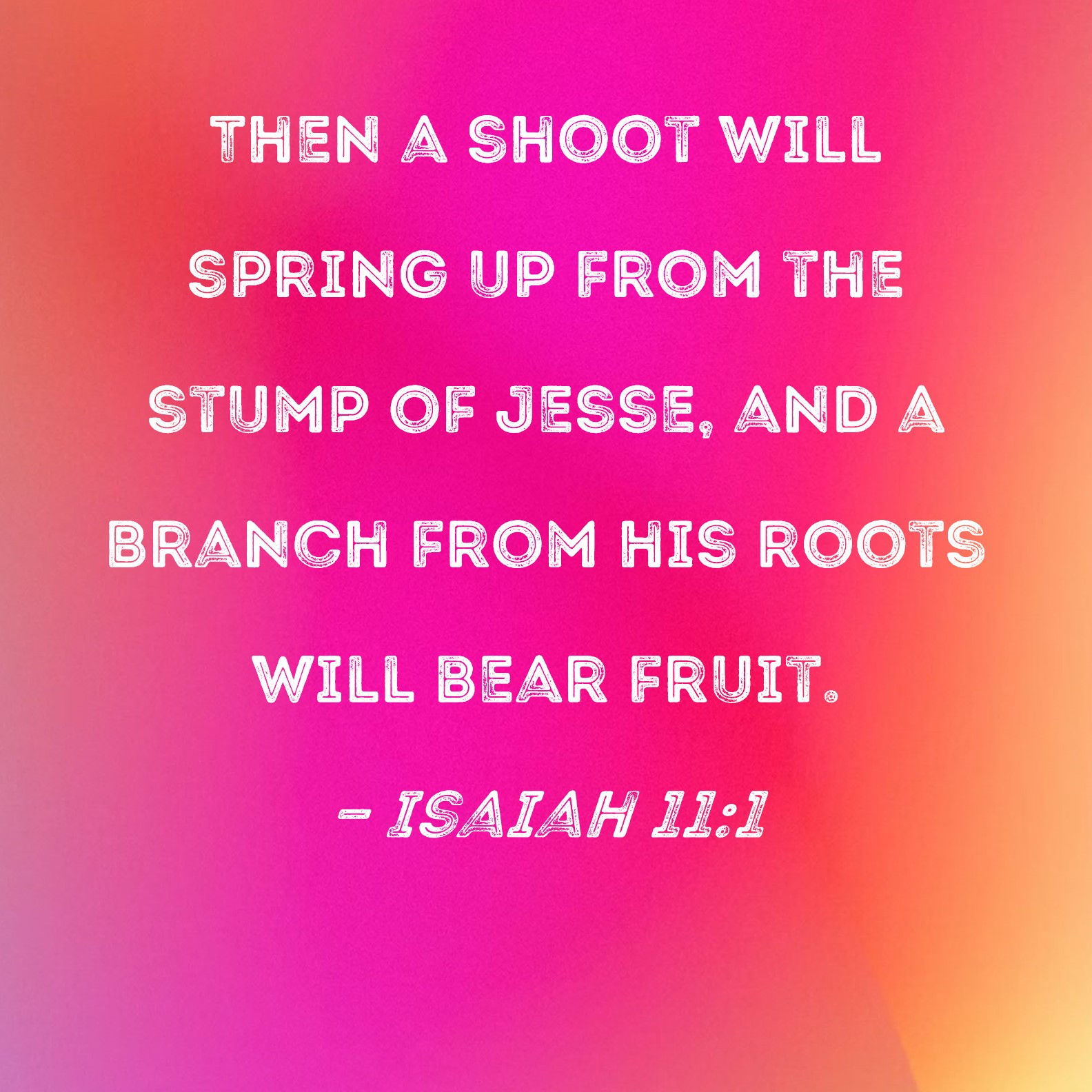 Isaiah 11 1 Then A Shoot Will Spring Up From The Stump Of Jesse And A 