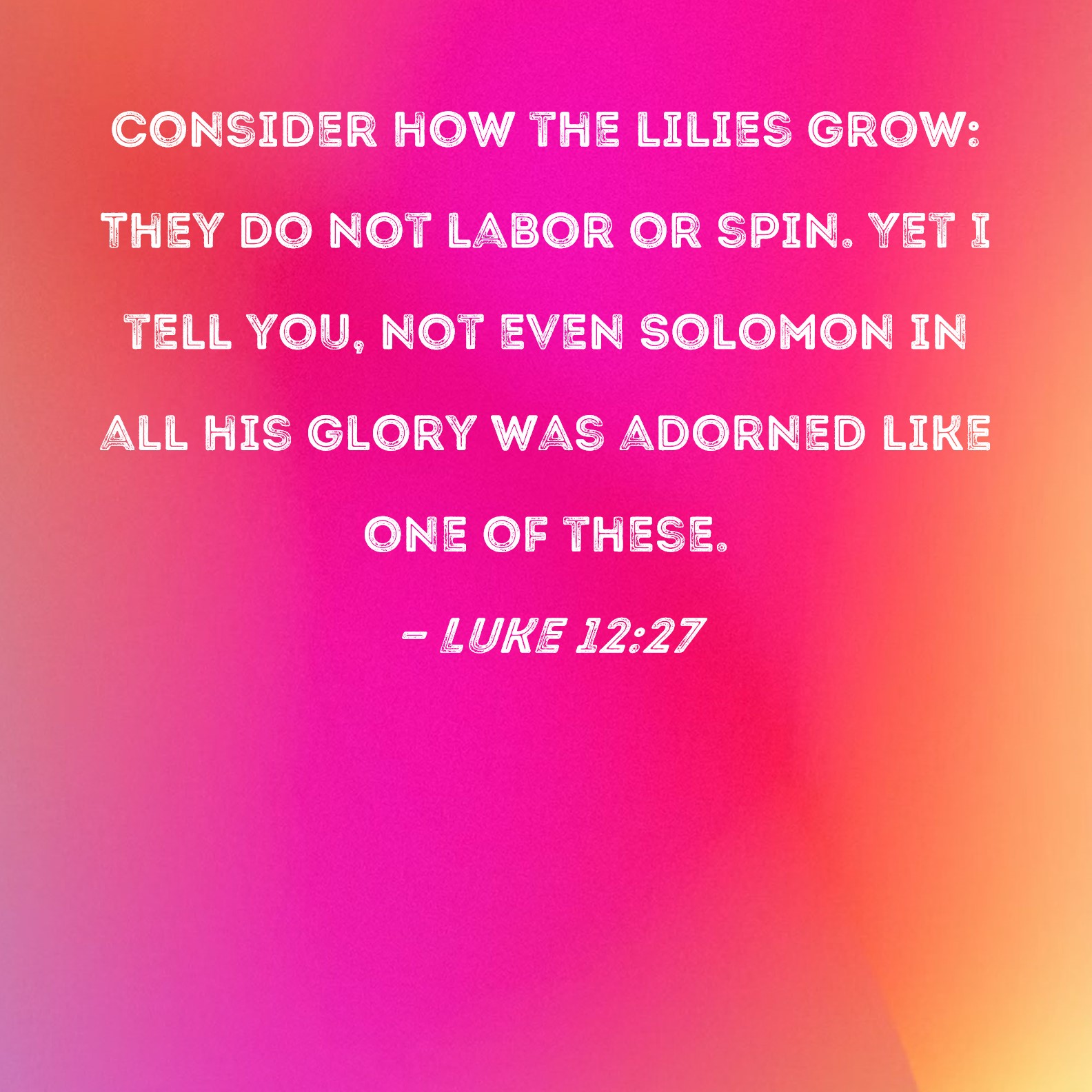 luke-12-27-consider-how-the-lilies-grow-they-do-not-labor-or-spin-yet