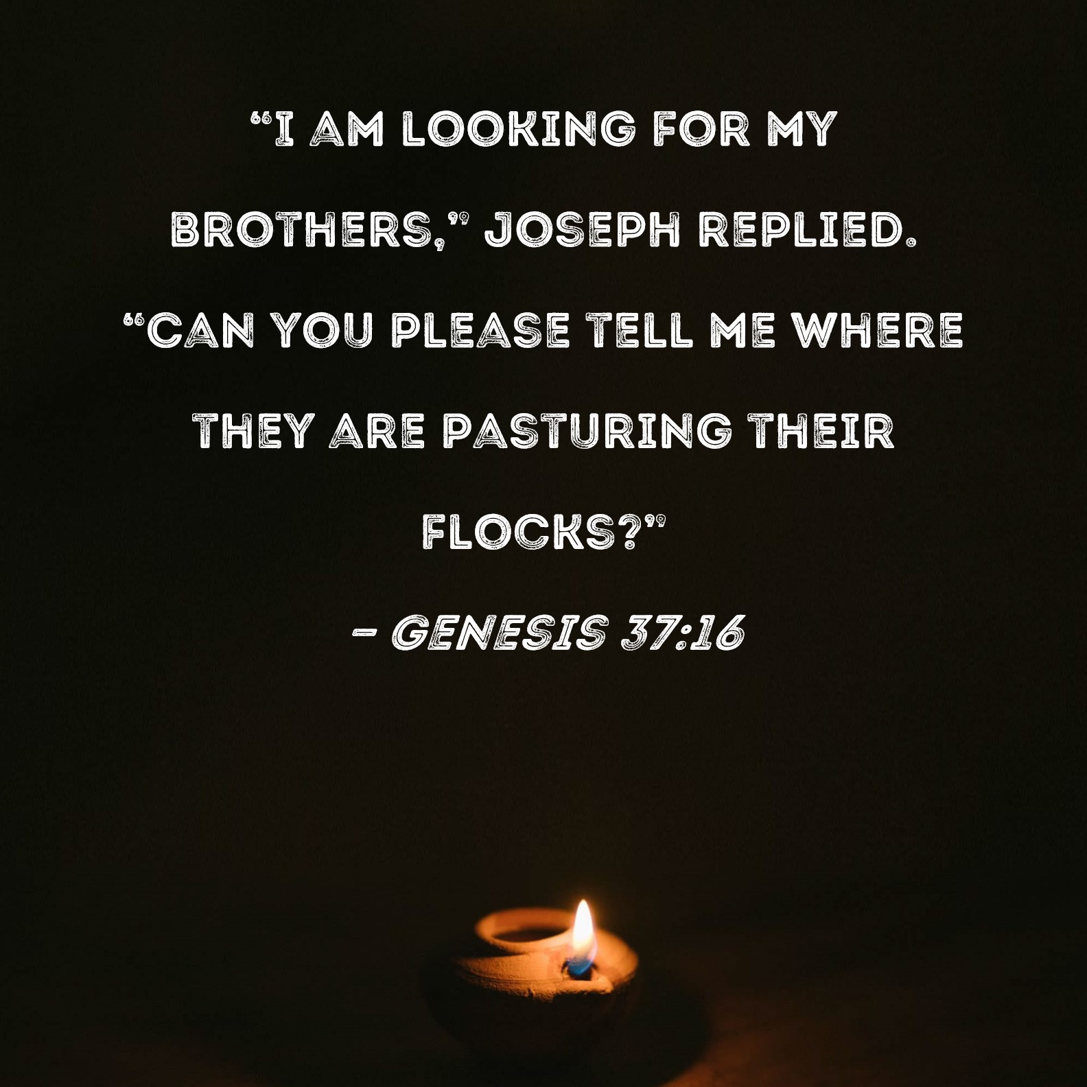 Genesis 3716 I Am Looking For My Brothers Joseph Replied Can You 