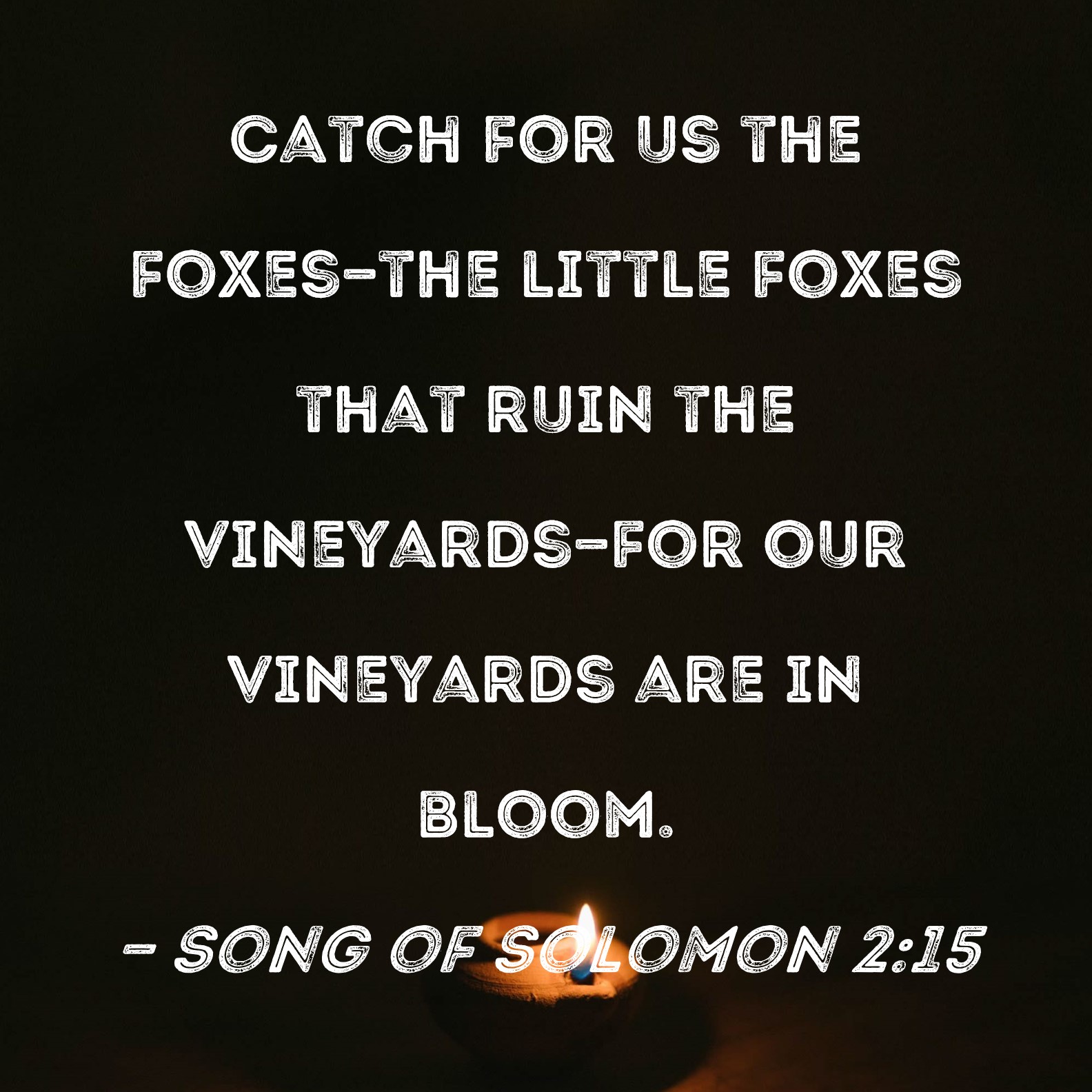 Song Of Solomon 2 15 Catch For Us The Foxes the Little Foxes That Ruin 