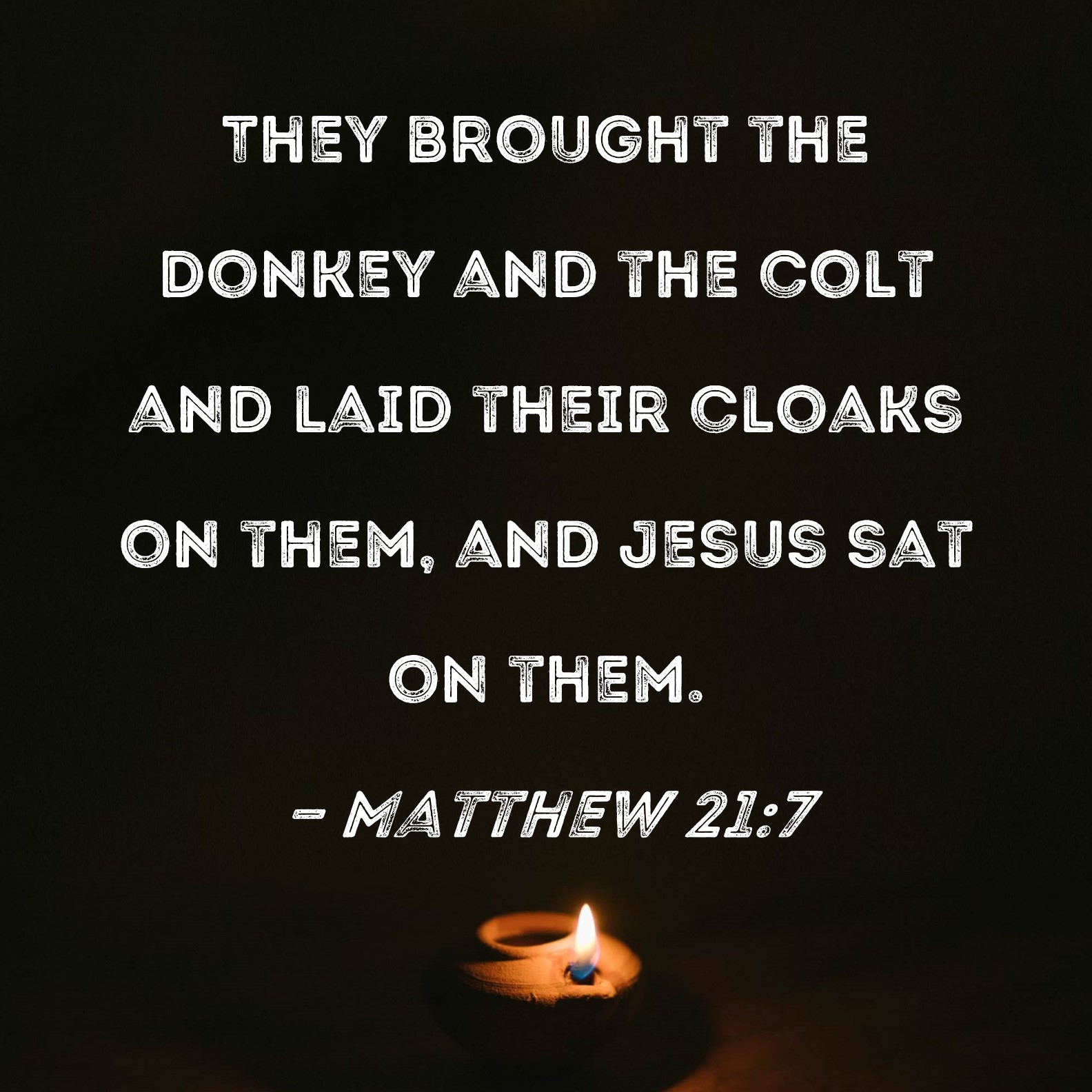 Matthew 21:7 They brought the donkey and the colt and laid their cloaks on them, and Jesus sat on them.