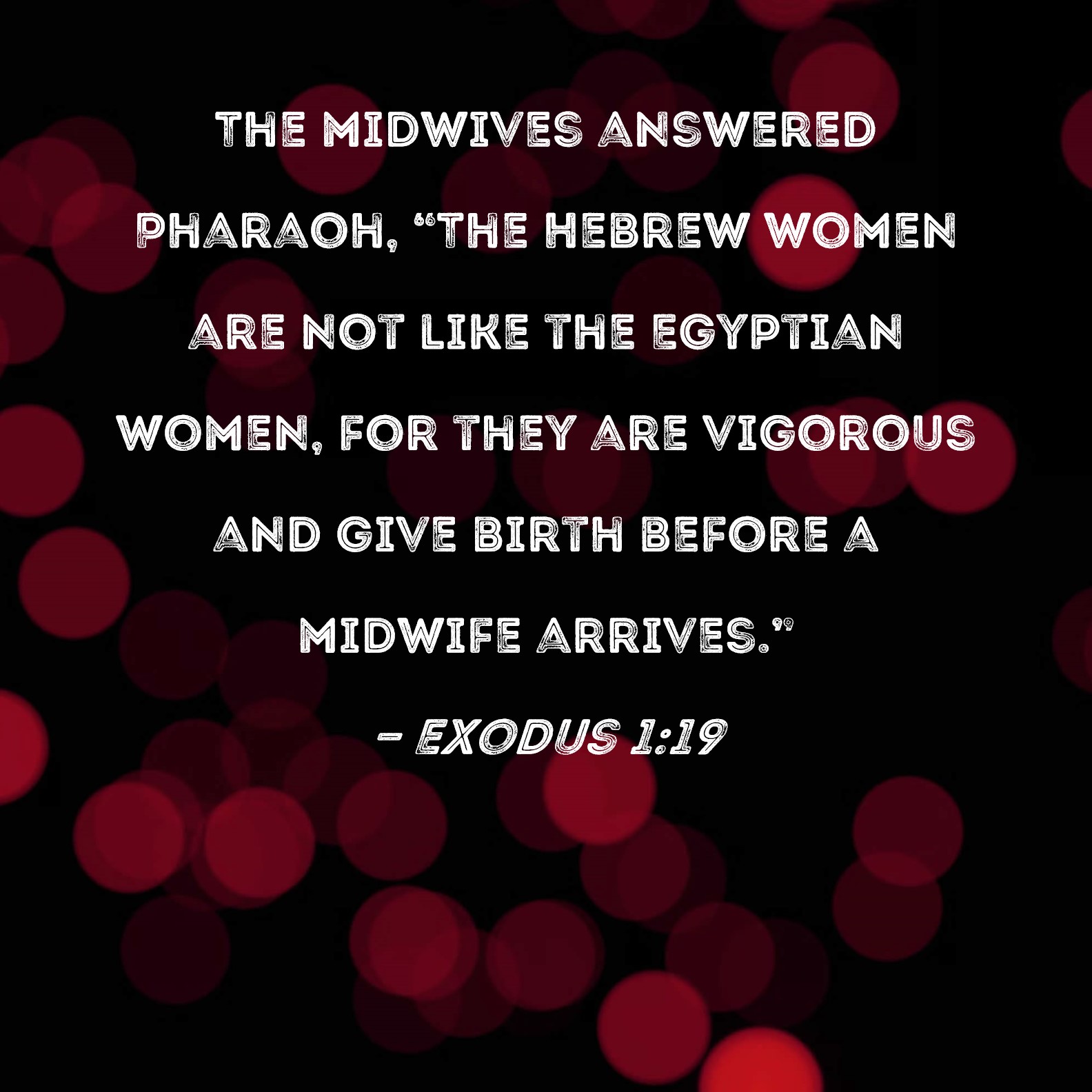 Exodus 1:19 The midwives answered Pharaoh, 