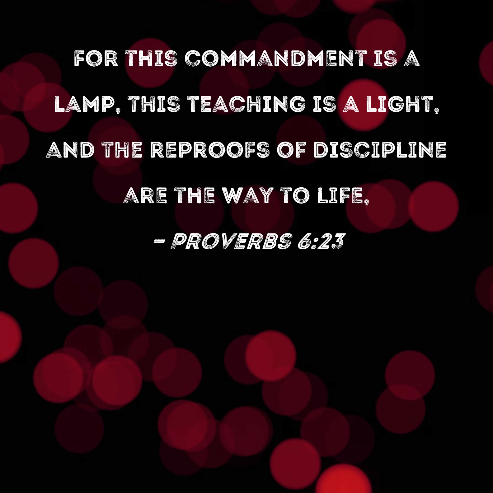 Proverbs 6:23 For this commandment is a lamp, this teaching a light, and reproofs of discipline are the way to life,