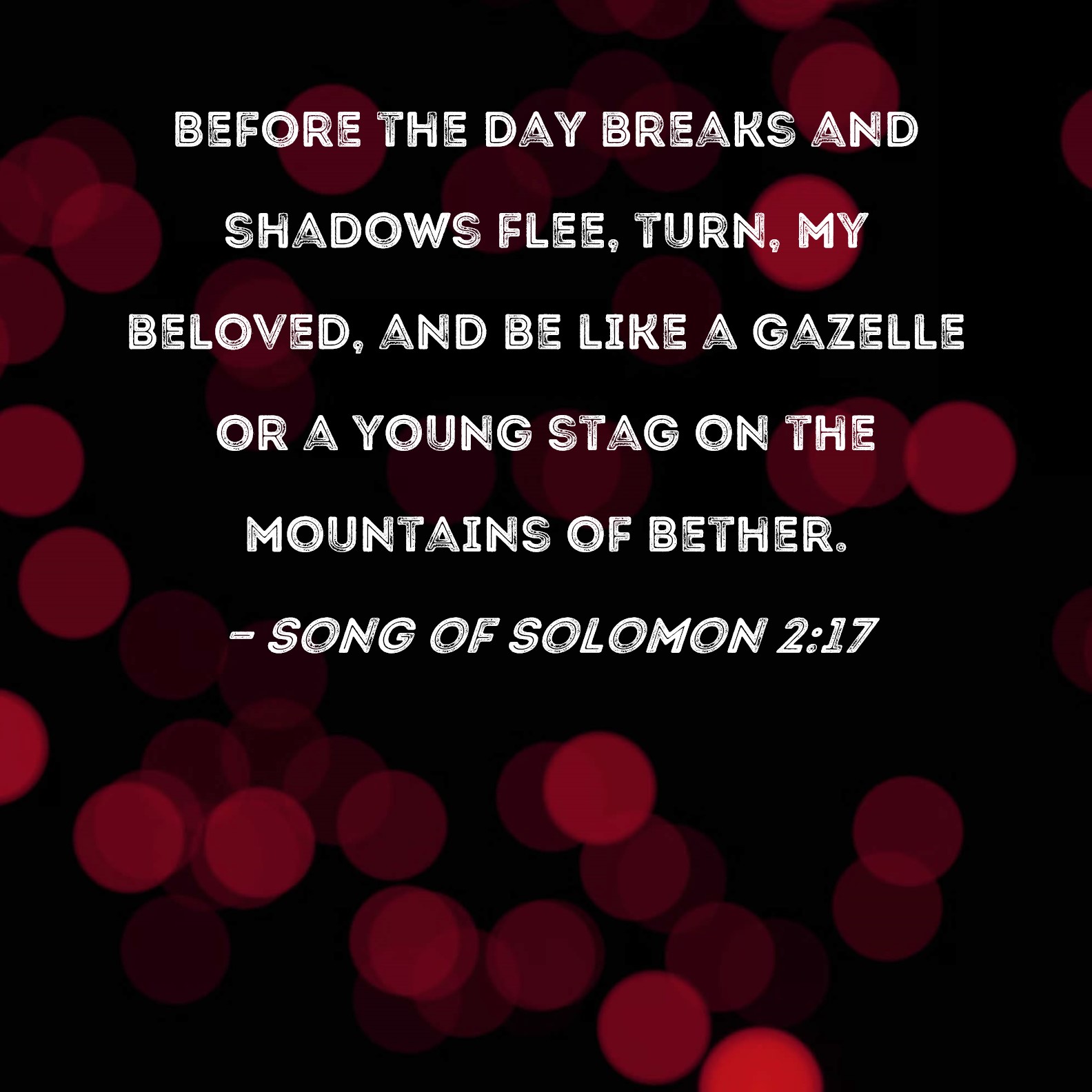 Song of Solomon 217 Before the day breaks and shadows flee, turn, my ...