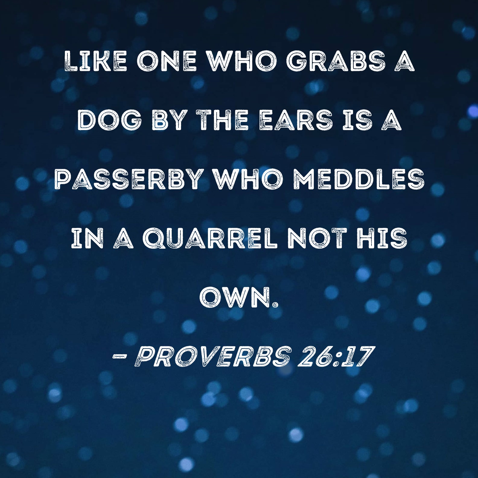 Proverbs 26 17 Like One Who Grabs A Dog By The Ears Is A Passerby Who 