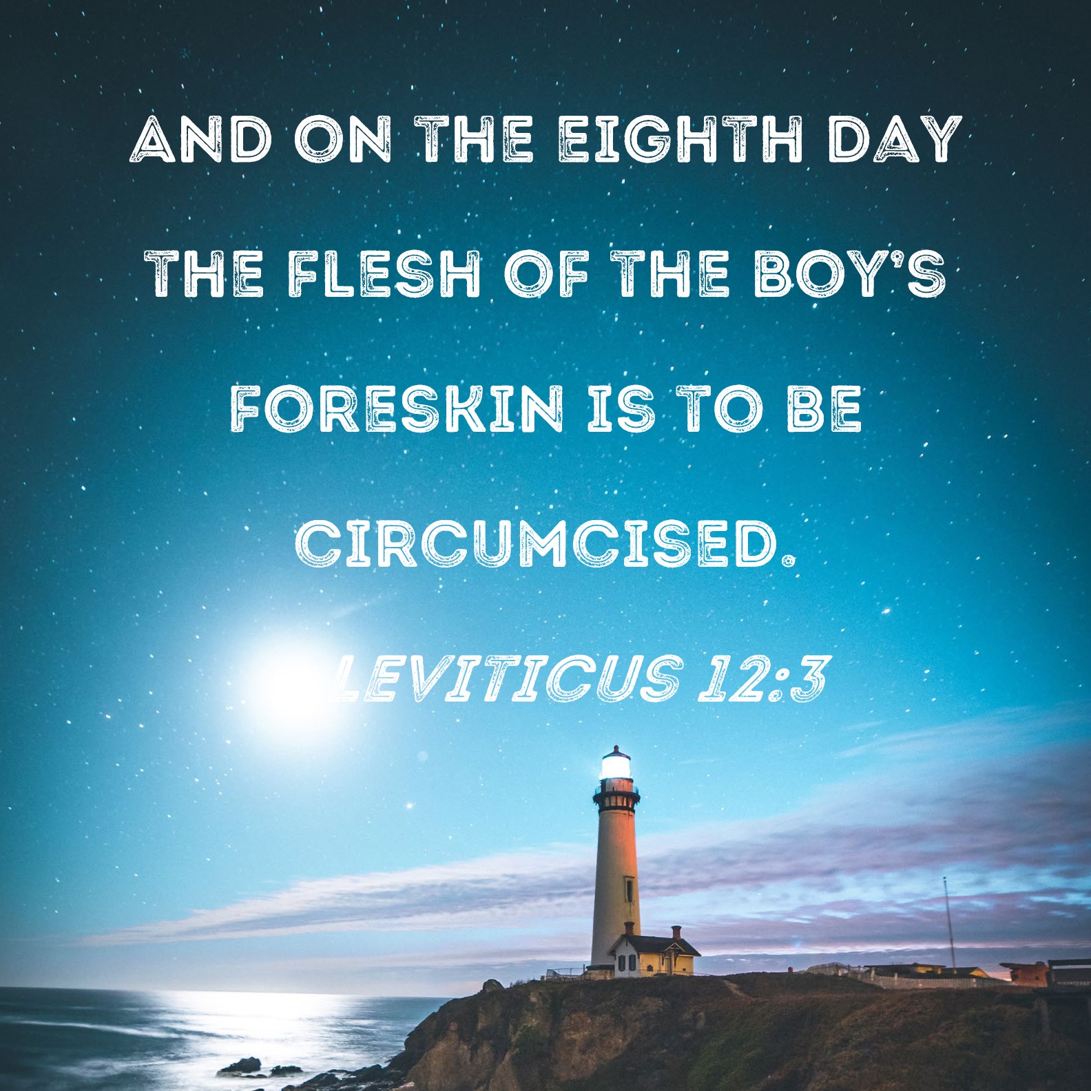 Leviticus 12 3 And On The Eighth Day The Flesh Of The Boy s Foreskin Is 