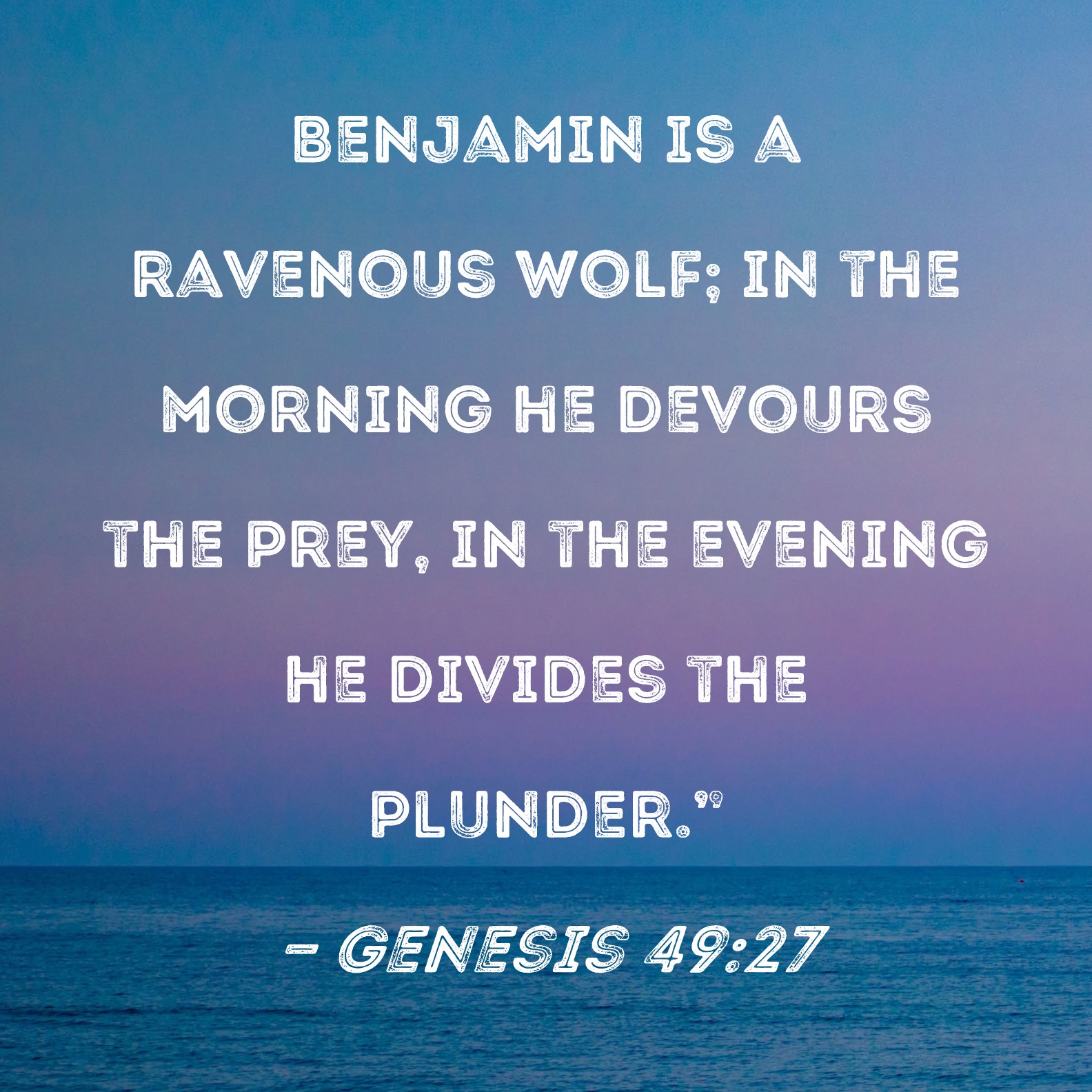 Genesis 49 27 Benjamin Is A Ravenous Wolf In The Morning He Devours 