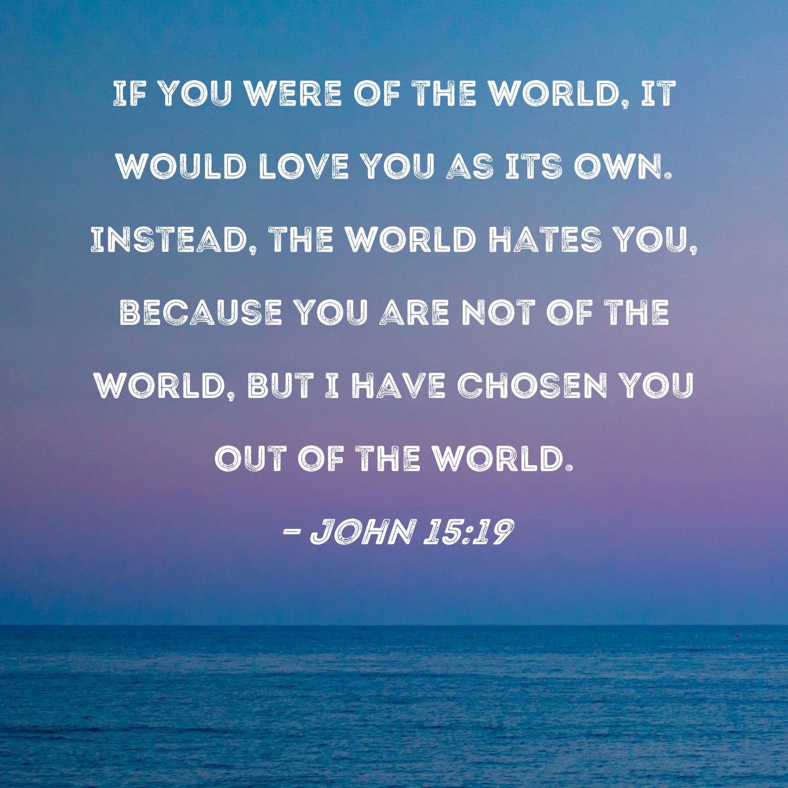 John 15 19 If You Were Of The World It Would Love You As Its Own 