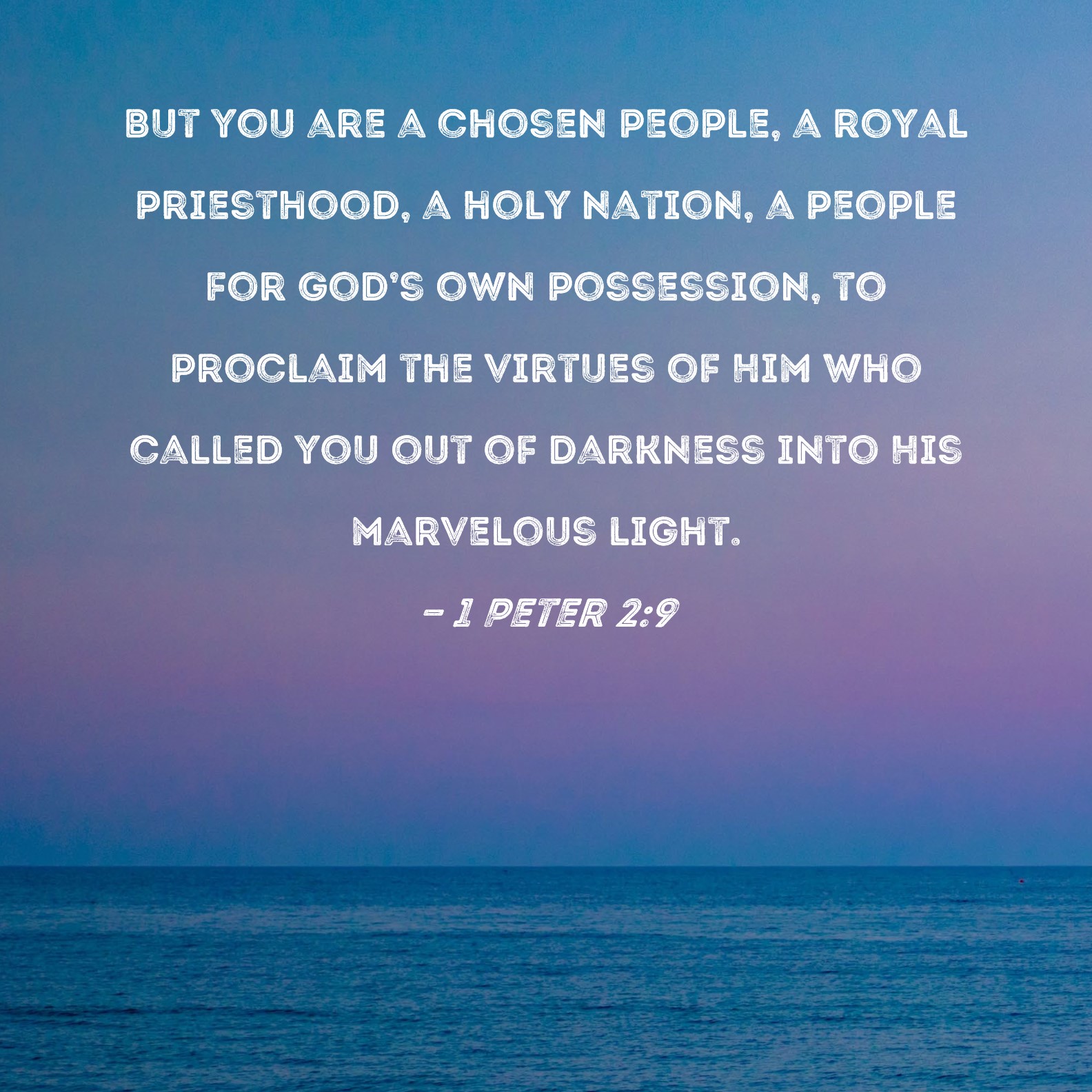 1 Peter 2 9 But You Are A Chosen People A Royal Priesthood A Holy 