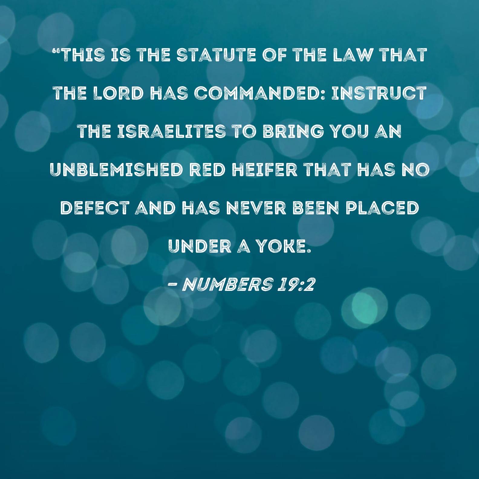 numbers-19-2-this-is-the-statute-of-the-law-that-the-lord-has-commanded-instruct-the