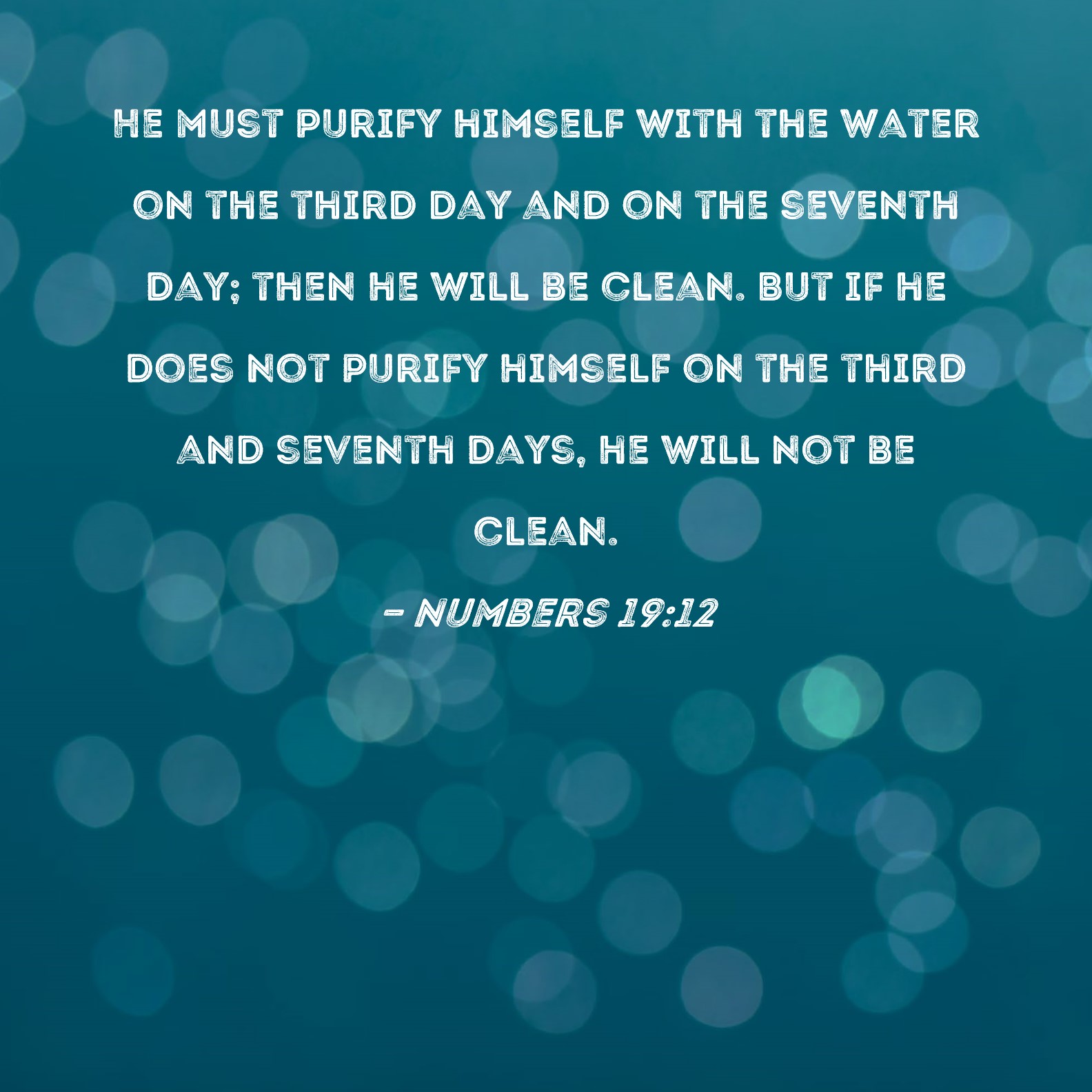 Numbers 1912 He must purify himself with the water on the third day